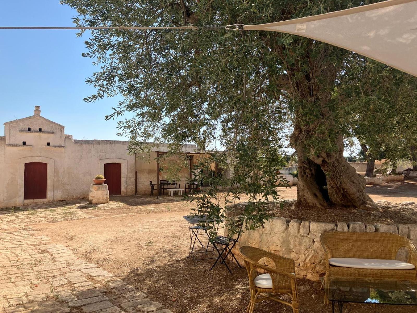 Masseria Purgatorio Fasano Exteriör bild