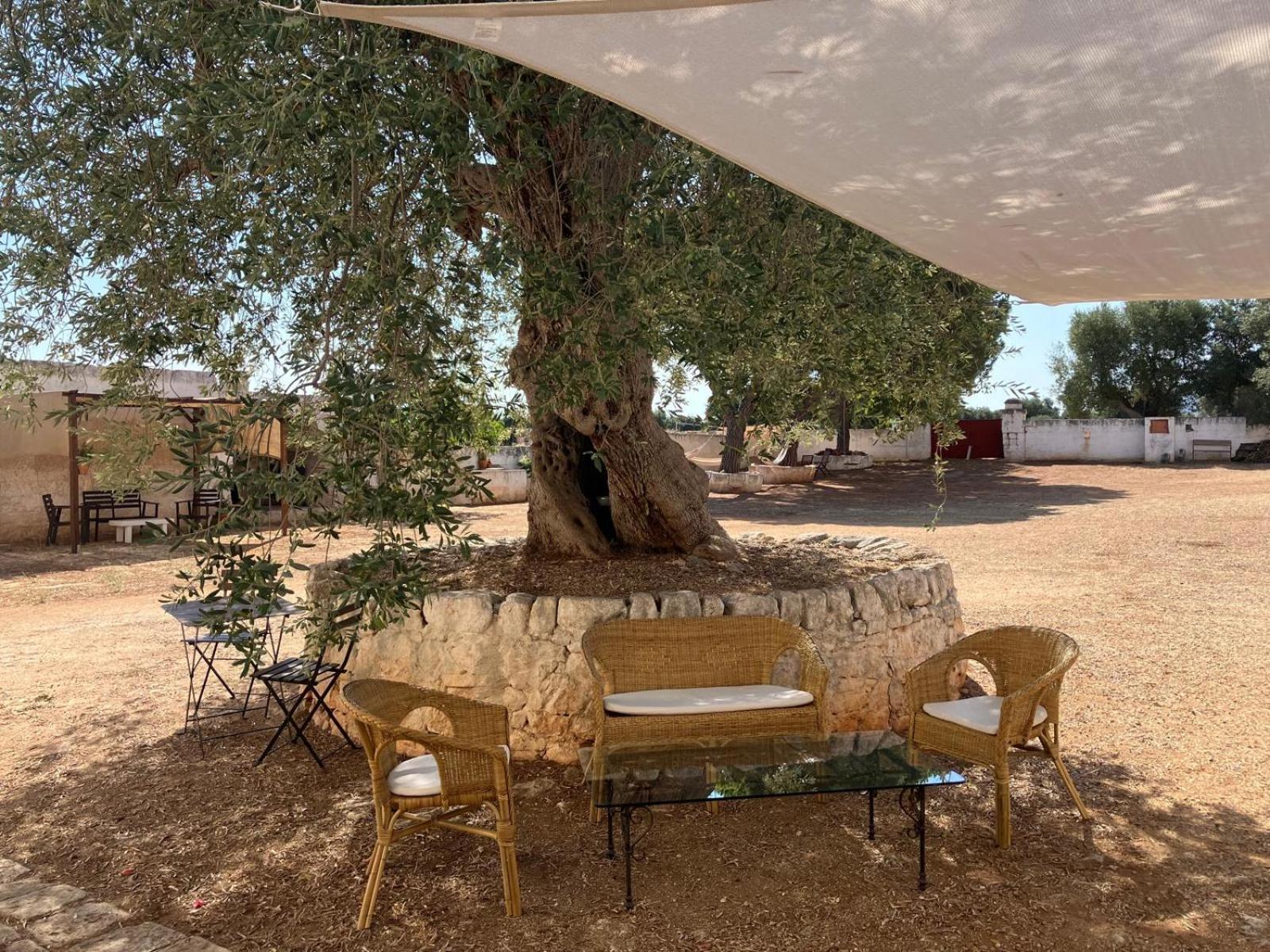 Masseria Purgatorio Fasano Exteriör bild