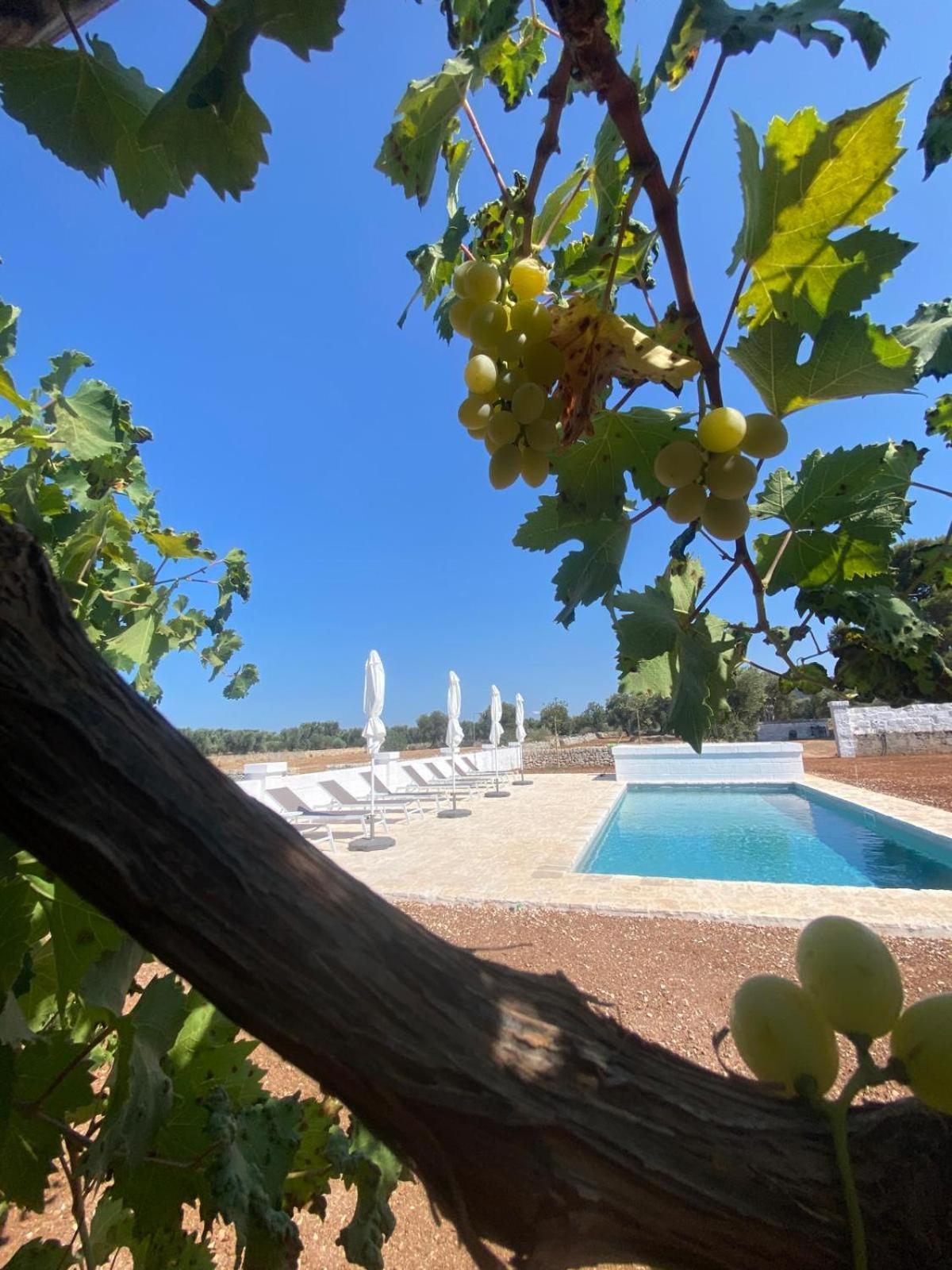 Masseria Purgatorio Fasano Exteriör bild